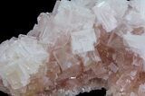 Pink Halite Crystal Plate - Trona, California #61058-3